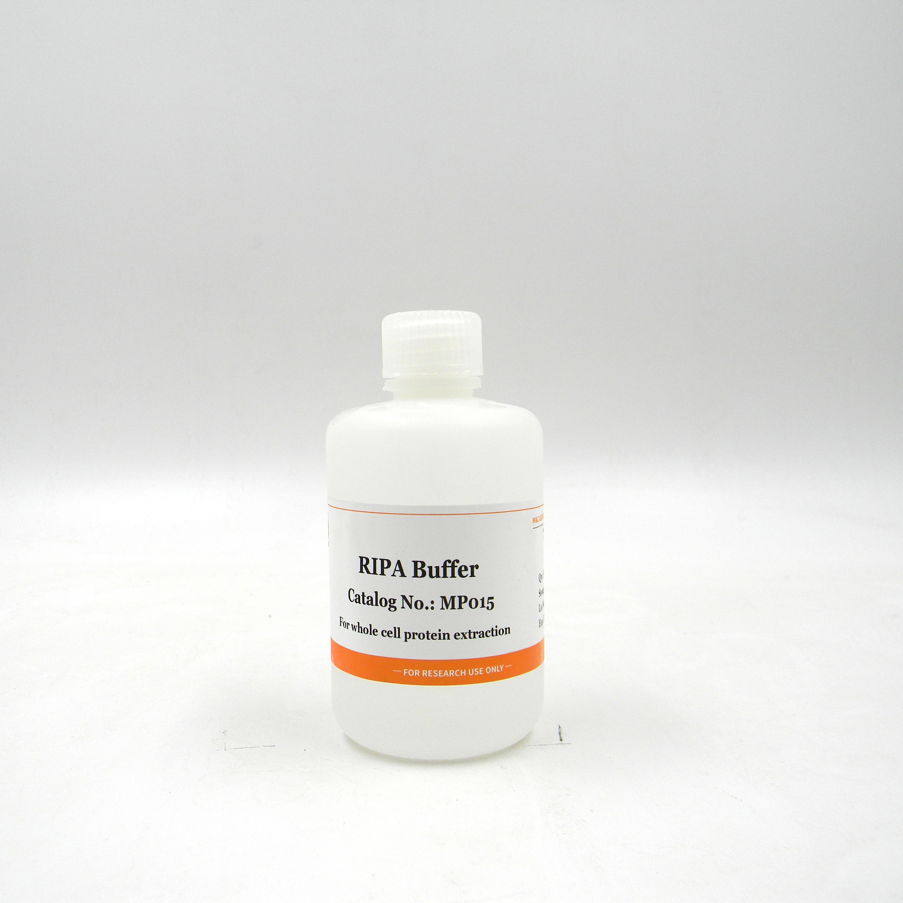 RIPA Buffer